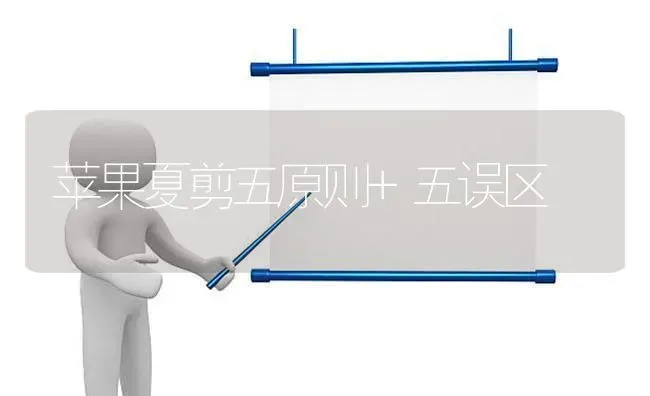 苹果夏剪五原则+五误区 | 瓜果种植