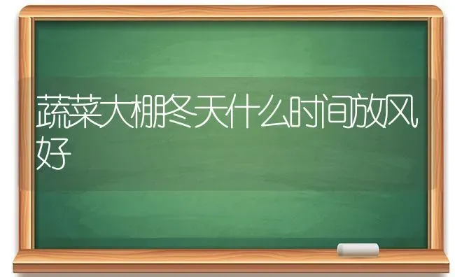 蔬菜大棚冬天什么时间放风好 | 蔬菜种植