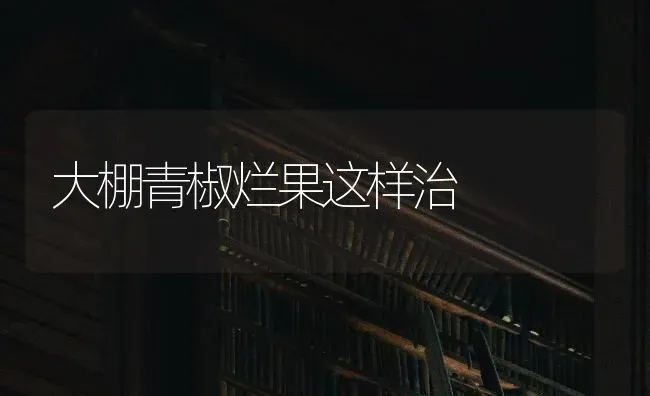 大棚青椒烂果这样治 | 瓜果种植
