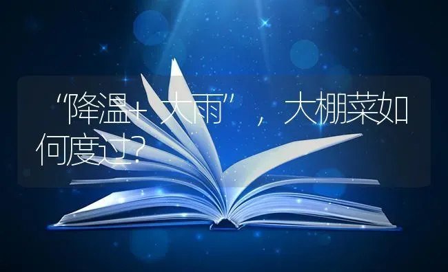 “降温+大雨”，大棚菜如何度过？ | 蔬菜种植