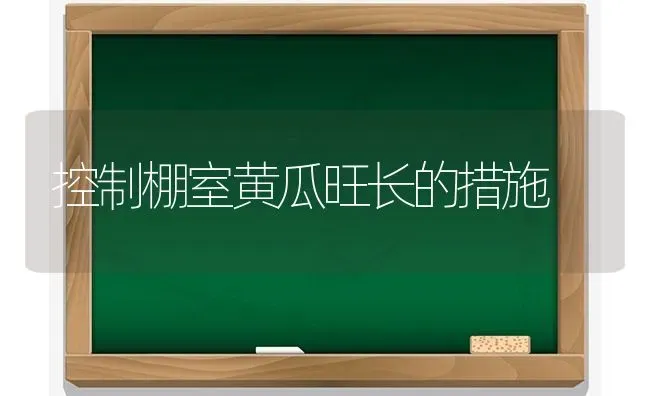 控制棚室黄瓜旺长的措施 | 蔬菜种植