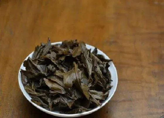 植物施肥|废茶叶可以做肥料吗