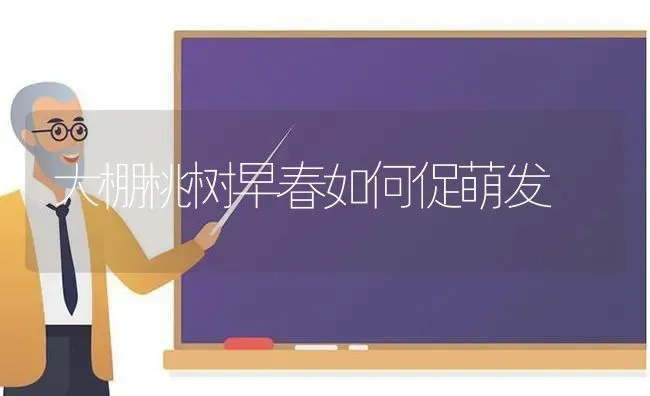 大棚桃树早春如何促萌发 | 瓜果种植