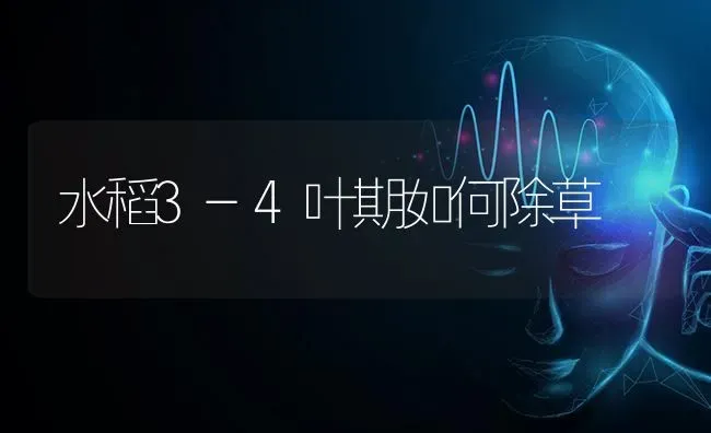 水稻3-4叶期如何除草 | 粮油作物种植