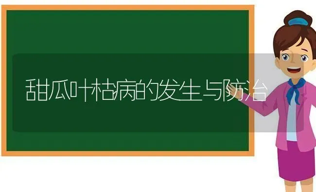 甜瓜叶枯病的发生与防治 | 瓜果种植