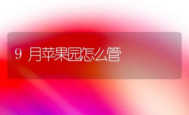 9月苹果园怎么管 | 瓜果种植