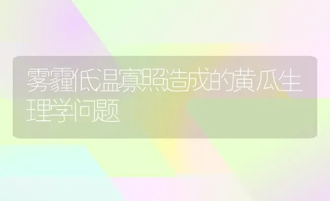 雾霾低温寡照造成的黄瓜生理学问题 | 蔬菜种植