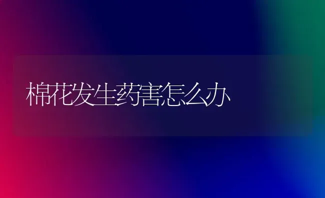 棉花发生药害怎么办 | 粮油作物种植