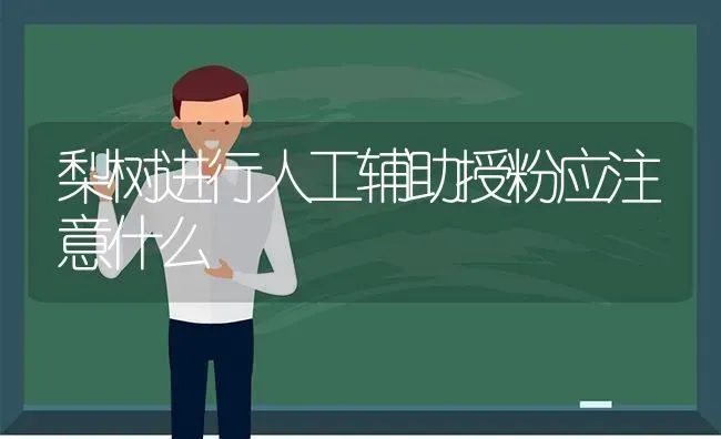 梨树进行人工辅助授粉应注意什么 | 瓜果种植