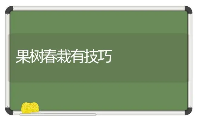 果树春栽有技巧 | 瓜果种植
