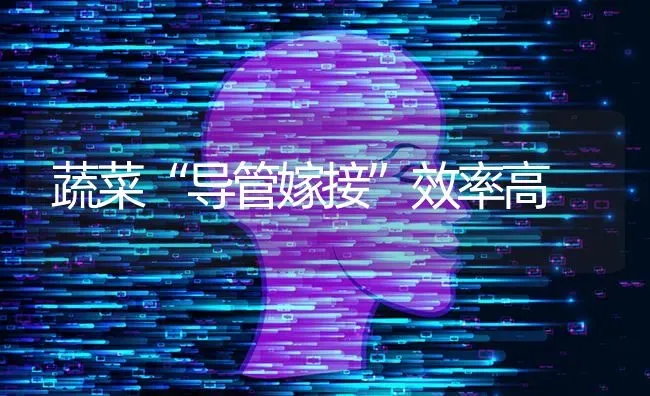 甜瓜嫁接后管理要点 | 瓜果种植