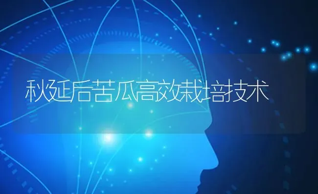 秋延后苦瓜高效栽培技术 | 蔬菜种植