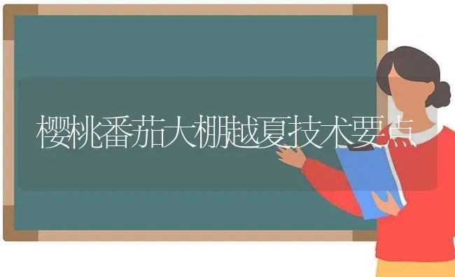 樱桃番茄大棚越夏技术要点 | 瓜果种植