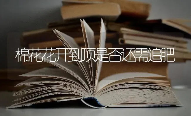 棉花花开到顶是否还需追肥 | 粮油作物种植