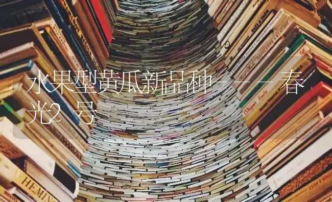水果型黄瓜新品种---春光2号 | 瓜果种植