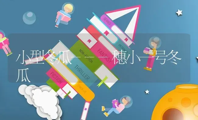 小型冬瓜---穗小一号冬瓜 | 蔬菜种植