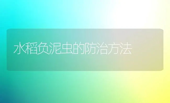 水稻负泥虫的防治方法 | 粮油作物种植