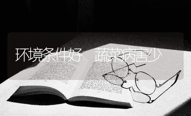 环境条件好 蔬菜病害少 | 蔬菜种植