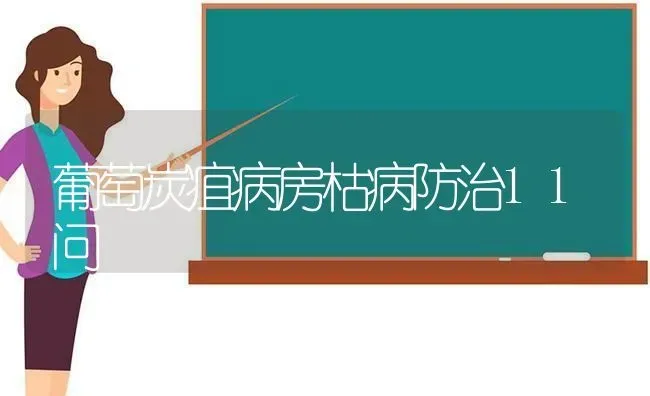 葡萄炭疽病房枯病防治11问 | 瓜果种植