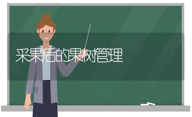采果后的果树管理 | 瓜果种植
