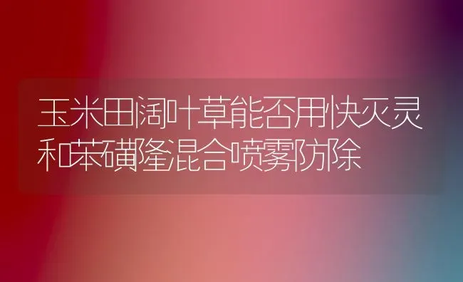 玉米田阔叶草能否用快灭灵和苯磺隆混合喷雾防除 | 粮油作物种植