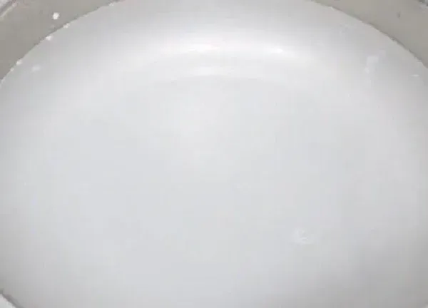 植物浇水|淘米水可以浇昙花吗