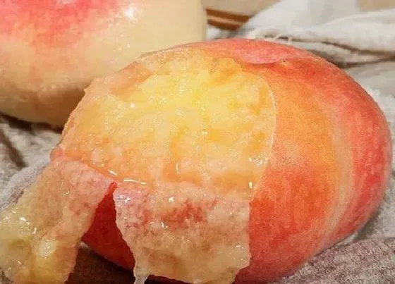 果实科普|桃子哪个品种最好吃 最好吃又出排名的桃子品种