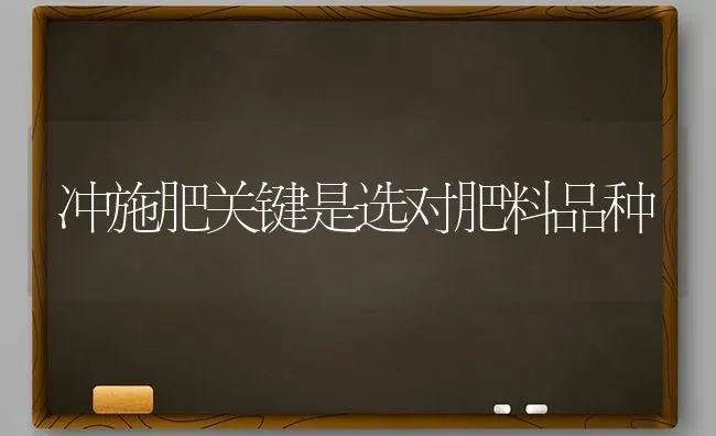 冲施肥关键是选对肥料品种 | 种植肥料施肥