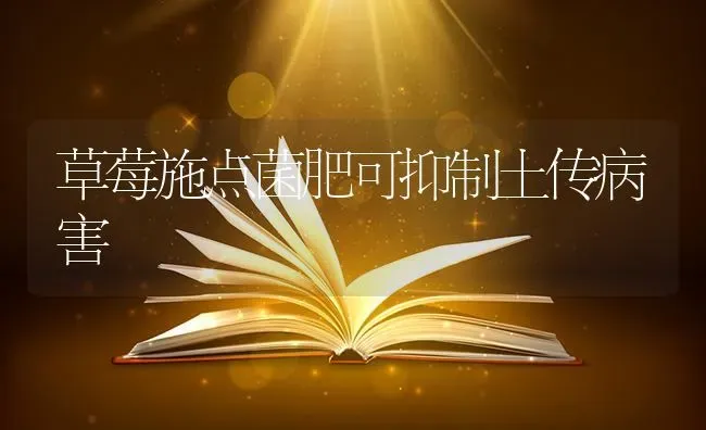 草莓施点菌肥可抑制土传病害 | 瓜果种植