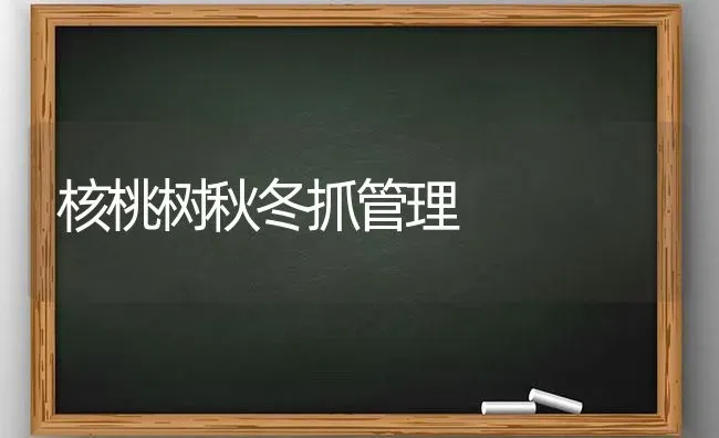 核桃树秋冬抓管理 | 瓜果种植