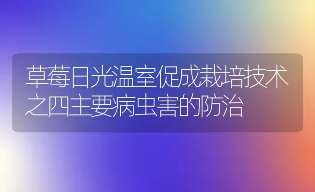 草莓日光温室促成栽培技术之四主要病虫害的防治 | 种植病虫害防治