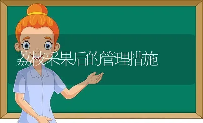 荔枝采果后的管理措施 | 瓜果种植