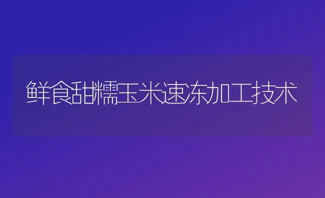 鲜食甜糯玉米速冻加工技术 | 粮油作物种植