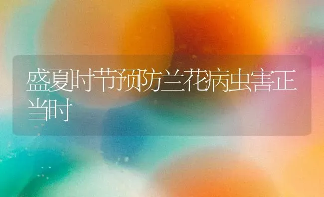 盛夏时节预防兰花病虫害正当时 | 种植病虫害防治