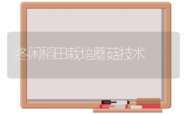冬闲稻田栽培蘑菇技术 | 食用菌种植