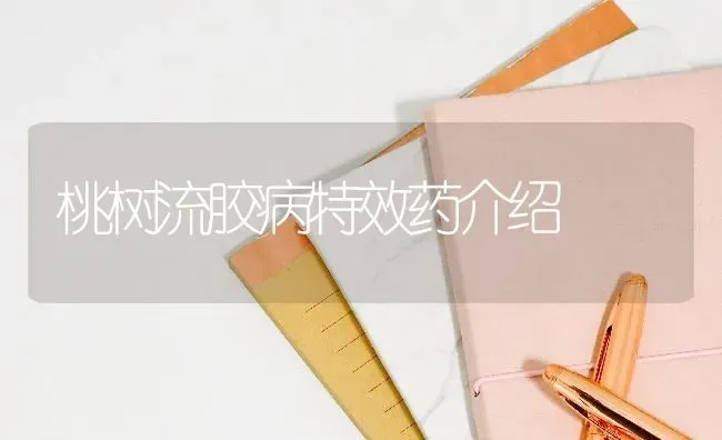 桃树流胶病特效药介绍 | 瓜果种植