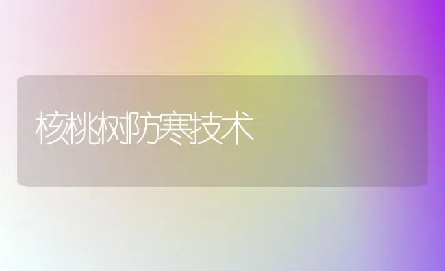 核桃树防寒技术 | 瓜果种植