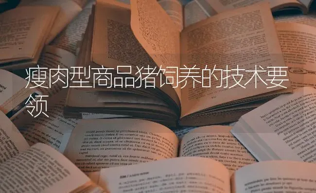 瘦肉型商品猪饲养的技术要领 | 瓜果种植