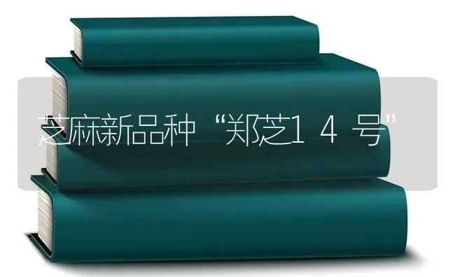 芝麻新品种“郑芝14号” | 粮油作物种植