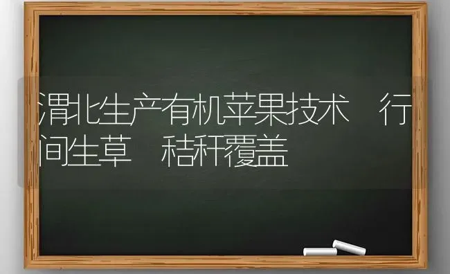 渭北生产有机苹果技术 行间生草 秸秆覆盖 | 瓜果种植