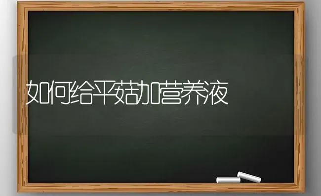 如何给平菇加营养液 | 食用菌种植