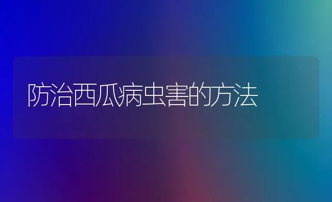 防治西瓜病虫害的方法 | 种植病虫害防治