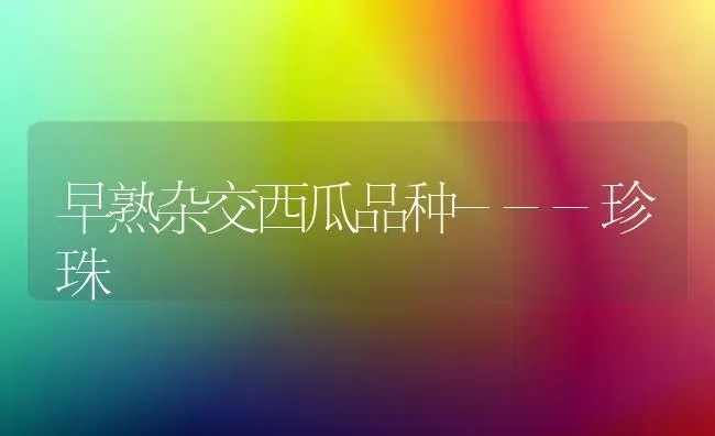 早熟杂交西瓜品种---珍珠 | 瓜果种植