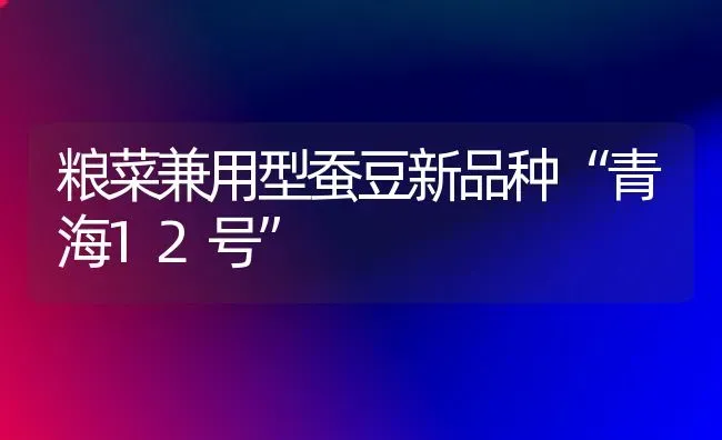 粮菜兼用型蚕豆新品种“青海12号” | 蔬菜种植