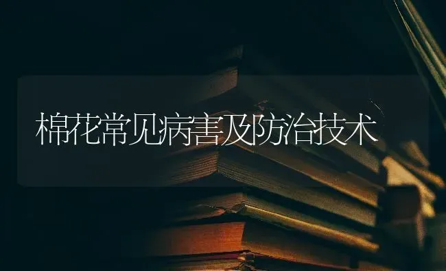 棉花常见病害及防治技术 | 粮油作物种植