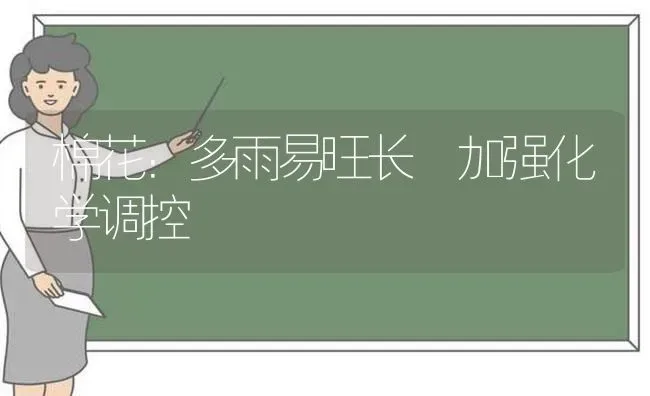 棉花：多雨易旺长 加强化学调控 | 粮油作物种植