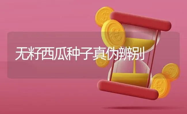 水稻田缺锌如何施 | 粮油作物种植