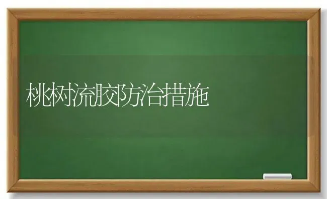 桃树流胶防治措施 | 瓜果种植