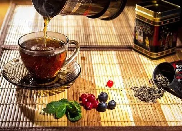 植物浇水|喝剩的茶叶可以浇花吗