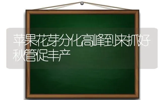 苹果花芽分化高峰到来抓好秋管促丰产 | 瓜果种植